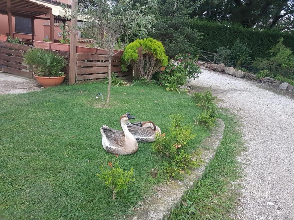 Georgerock Bed & Breakfast Grimaldi  ภายนอก รูปภาพ
